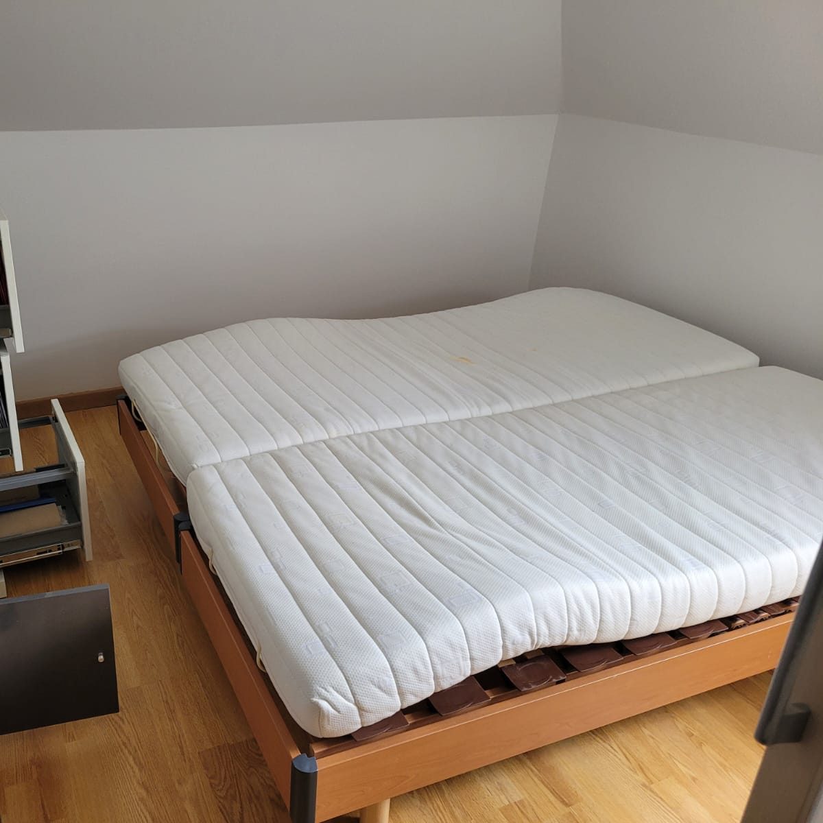 Punaises de lit Lardy