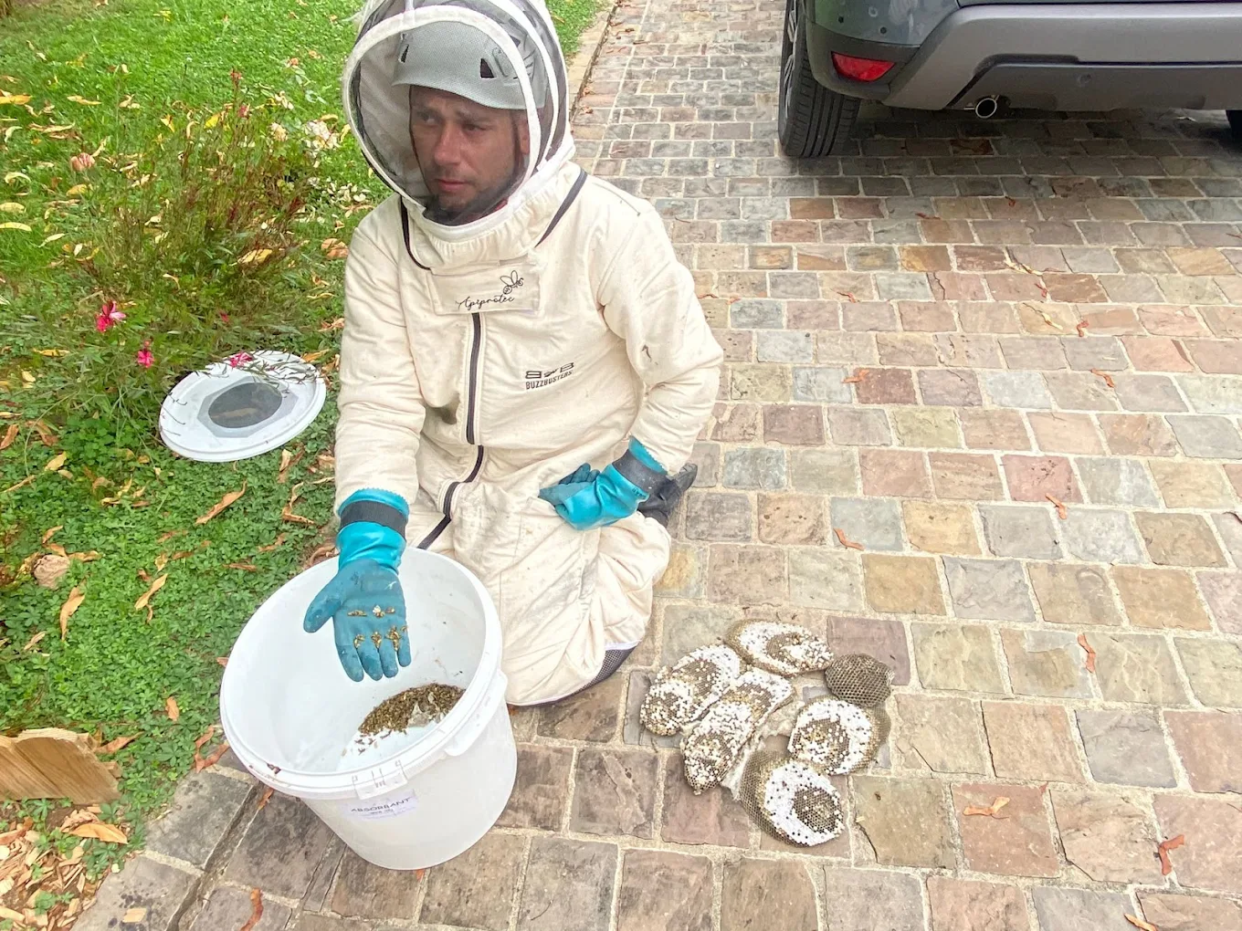 Technicien professionnel traitement nuisibles Bot'Guepes Essonne